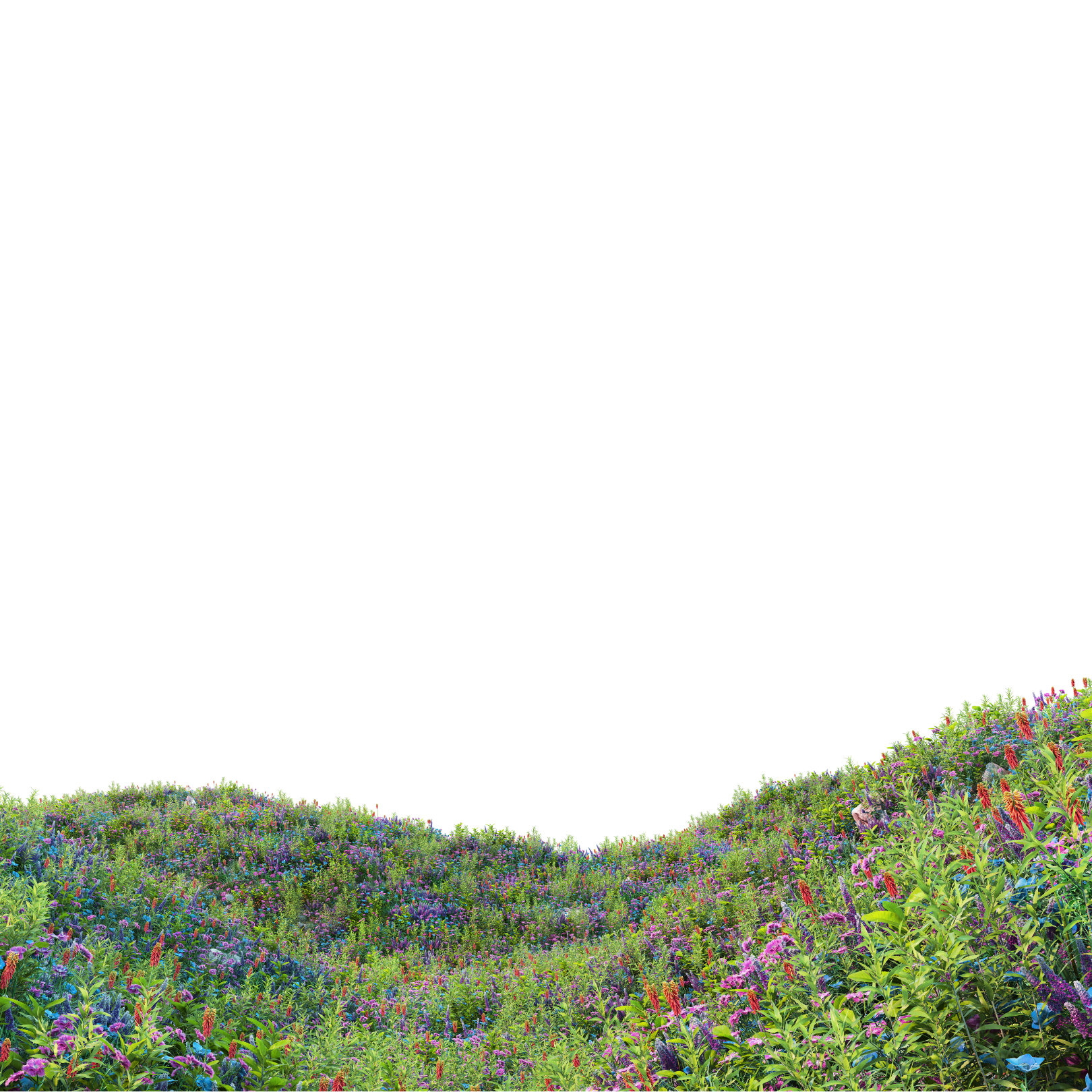  | Grass on hill with flowers PNG 3