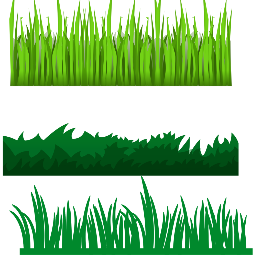 Grass png